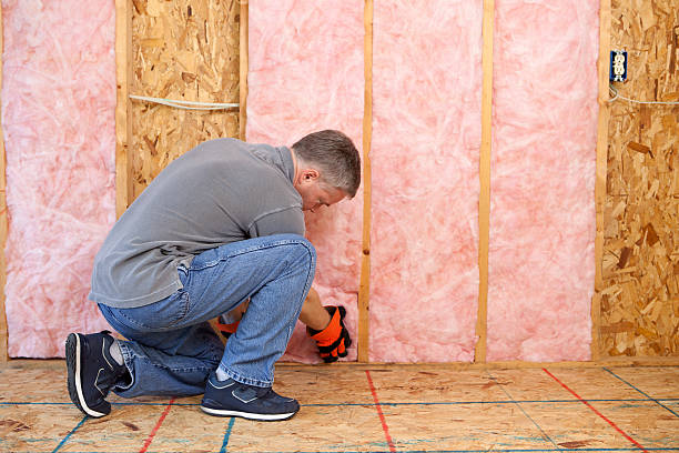 Best Blown-in Insulation in Pion Hills, CA