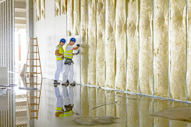 Best Eco-Friendly Insulation in Pion Hills, CA